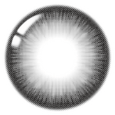 Lenstown Scotch 3color Black (2 Pack)